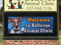 Bellevue Animal Clinic