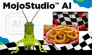 MojoStudioD